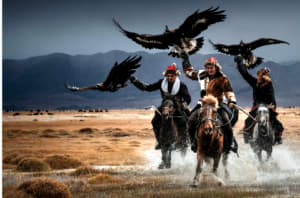 Global Beverages 烈酒