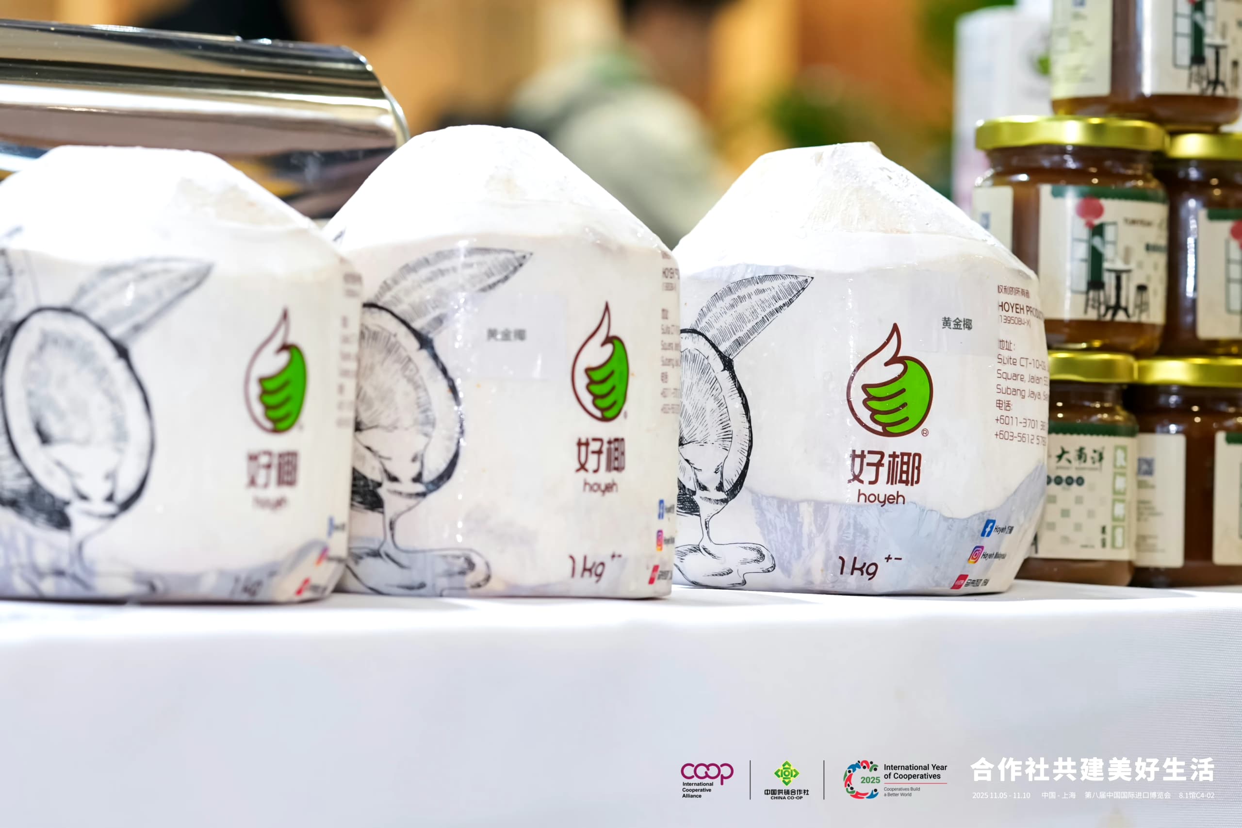 马来西亚黄金椰 & 椰青