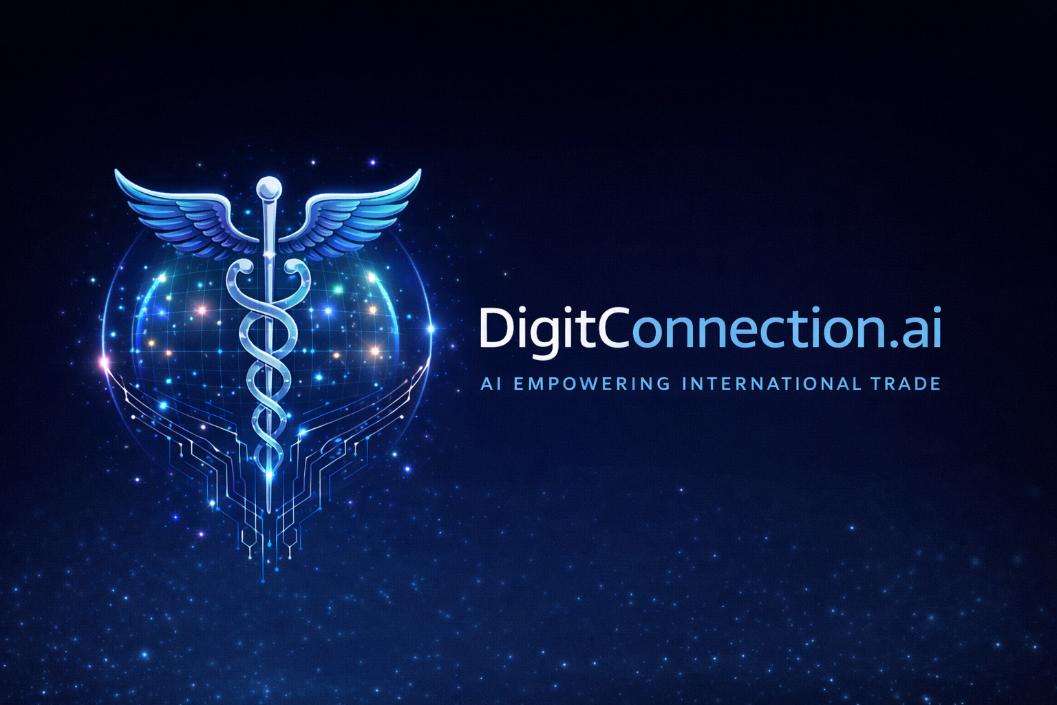 DigitConnection Group